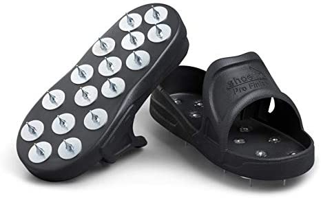Shoe-In Spiked shoe
